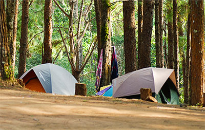 tents forest