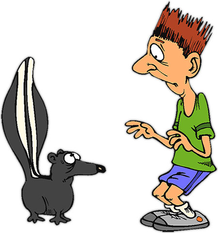 skunk and man