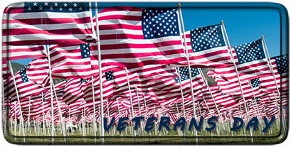 Veterans Day American Flags