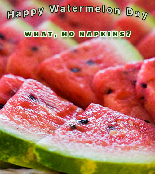 Happy Watermelon Day slices