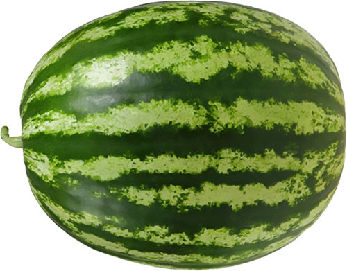 large watermelon