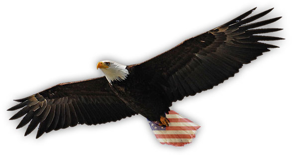american eagle animated gif