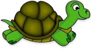turtle running