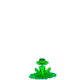 friendly frog