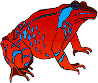 red frog