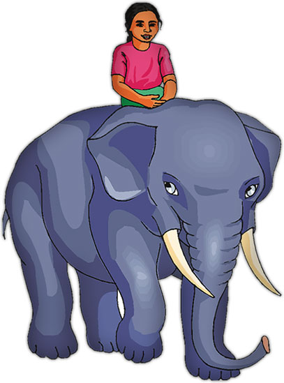 elephant carrying girl