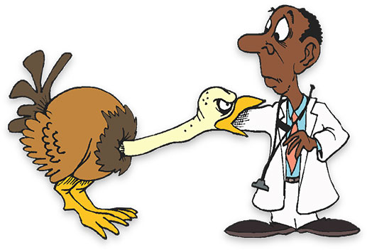 ostrich and veterinarian