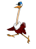 Ostrich Flying - animation gif