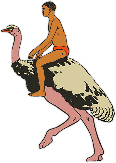 man riding an ostrich