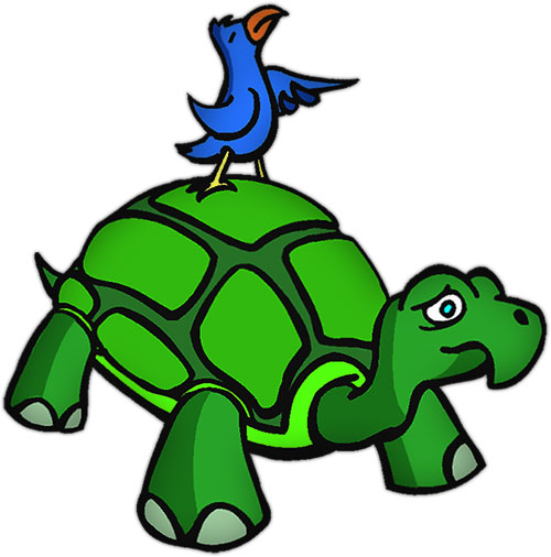 green turtle and a bird
