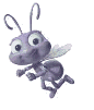 flying ant