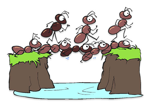 colony of ants clipart free