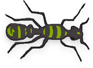 Free Ant Clipart - Black Ants - Red Ants