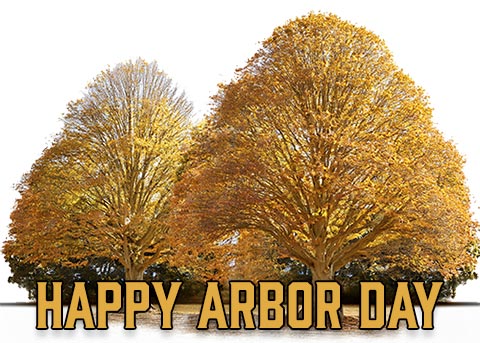 Happy Arbor Day