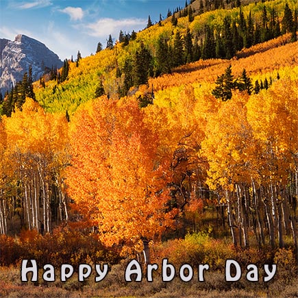 Happy Arbor Day