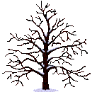 tree of all seasons