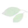green leaves background with white overlay