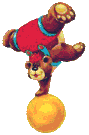 fun bear