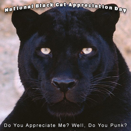 Free National Black Cat Appreciation Day Clipart Animations Happy Black Cat Appreciation Day