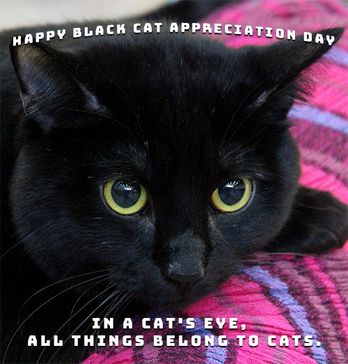 Free National Black Cat Appreciation Day Clipart ...