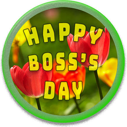 tulips boss
