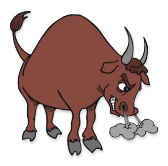 snorting bull