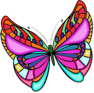 butterfly bright colors