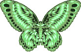 green butterfly