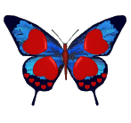butterfly with hearts