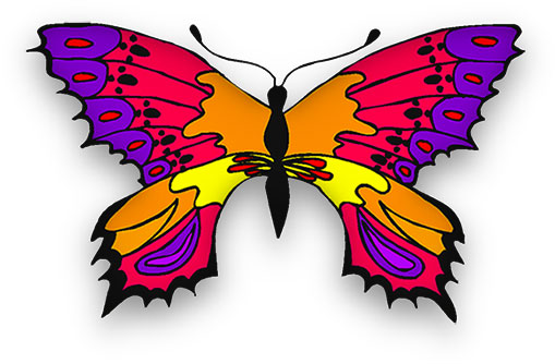 butterfly in many bright colors