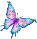 psychedelic butterfly animation