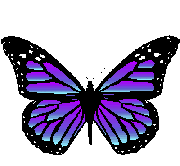 purple butterfly animated