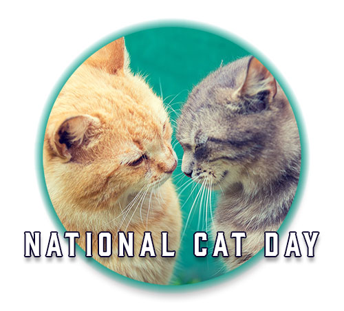 National Cat Day