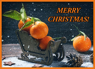 Merry Christmas sleigh oranges snow