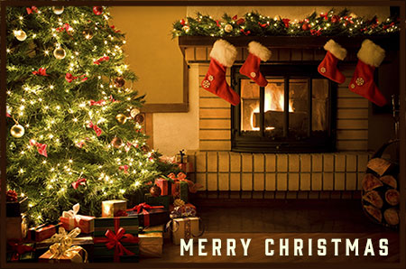 Christmas tree and fireplace in house