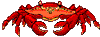 crab animated
