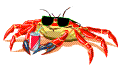 crab with cool shades animation