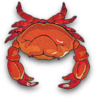 nice red crab