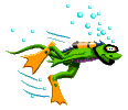 frog man diving
