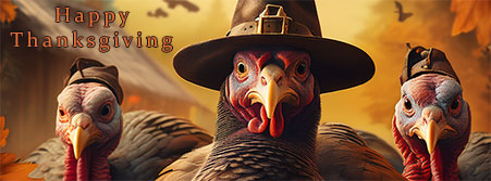 turkeys in pilgrim hats