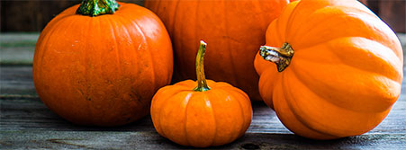 pumpkins photo image
