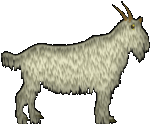 use this goat on black pages