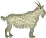 use this goat on white pages