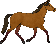 horse clipart brown and black