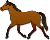 horse graphic