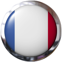 French flag button with metal trim