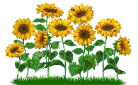 animated flowers clip art gif