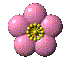 spinning pink flower