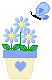 blue flowers