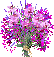 violet flowers with animation